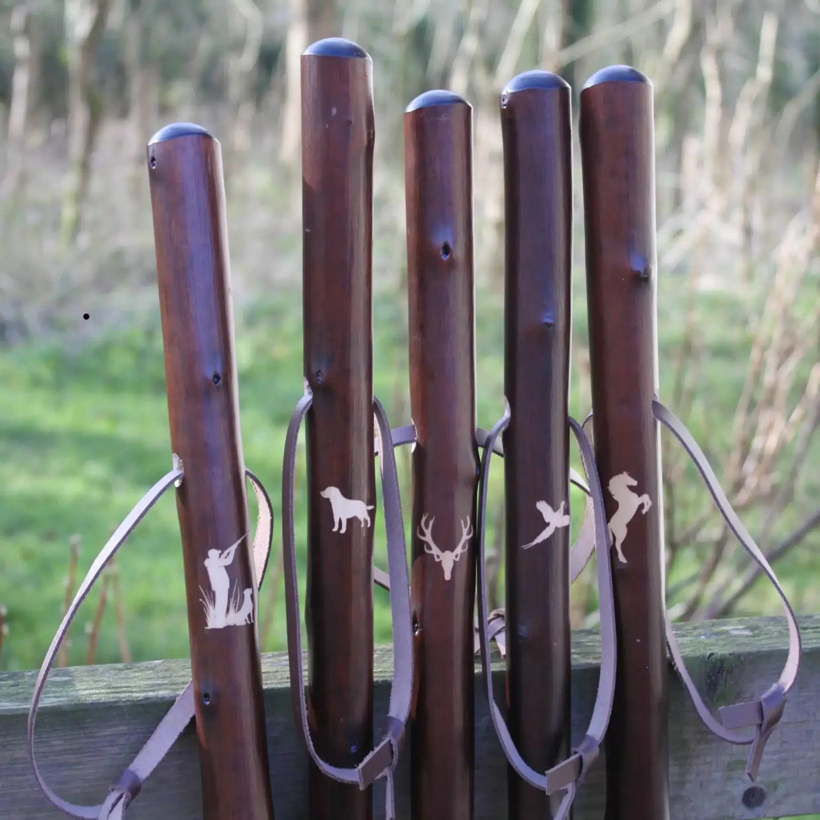 Bâton de chasse Irlande