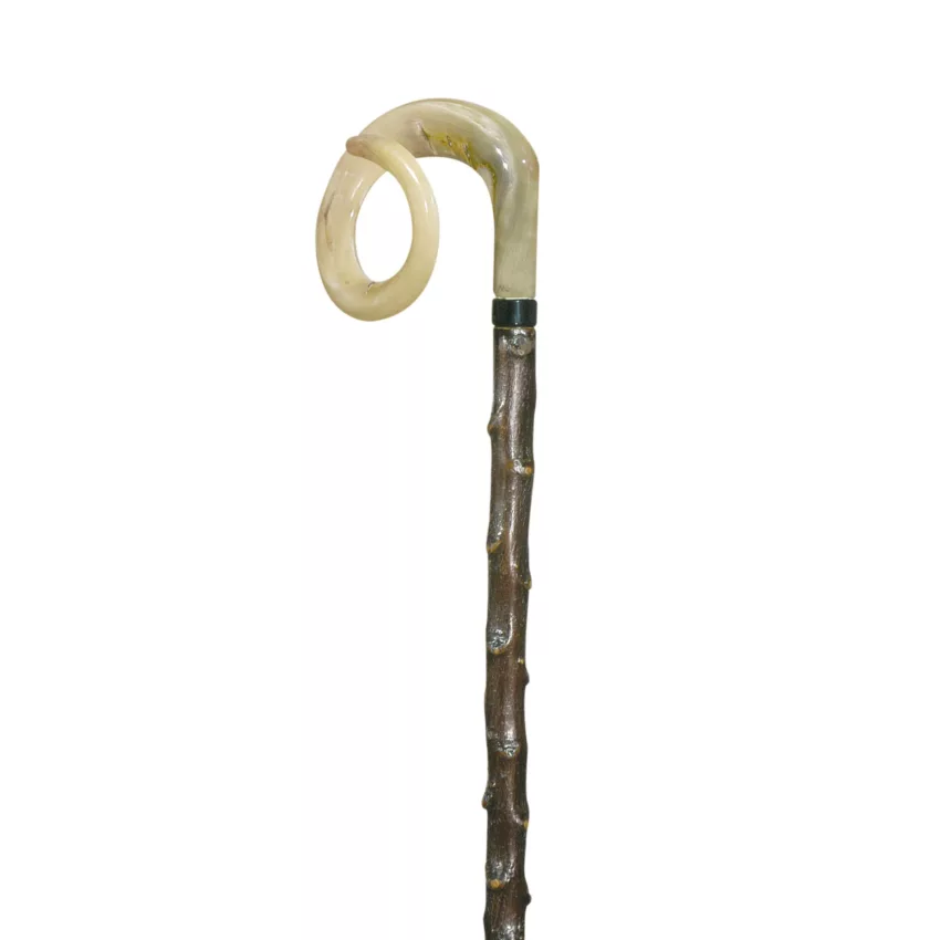 houlette de berger et corne de bélier torsadée