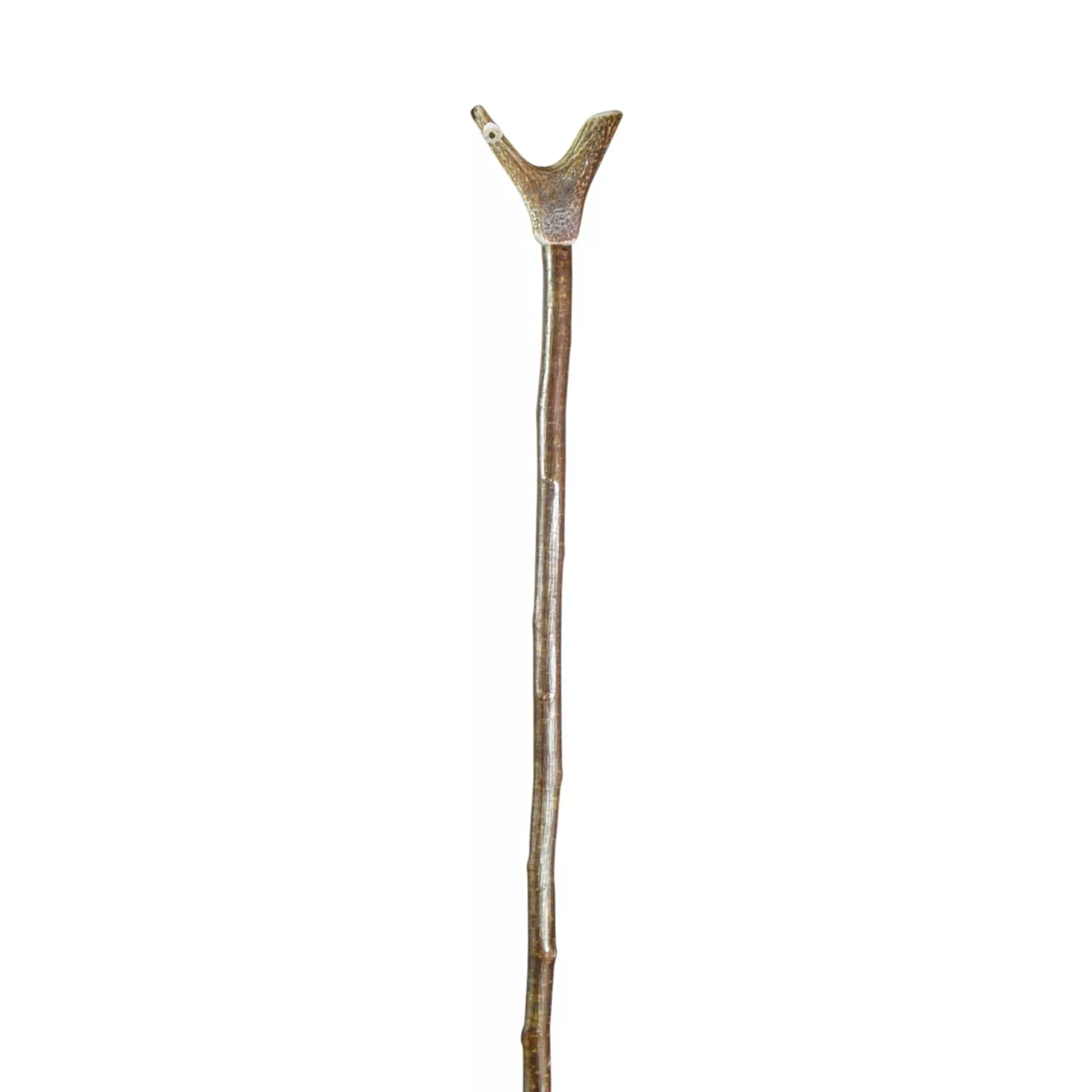 Bâton de chasse en bois de cerf avec sifflet