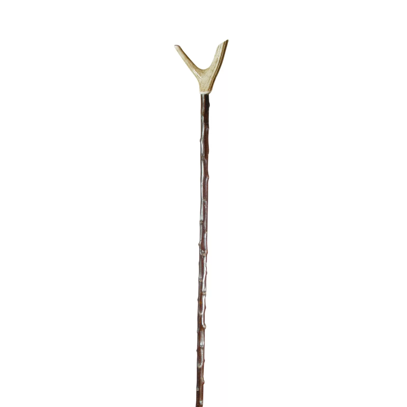 Bâton de chasse, bois de cerf, prunellier