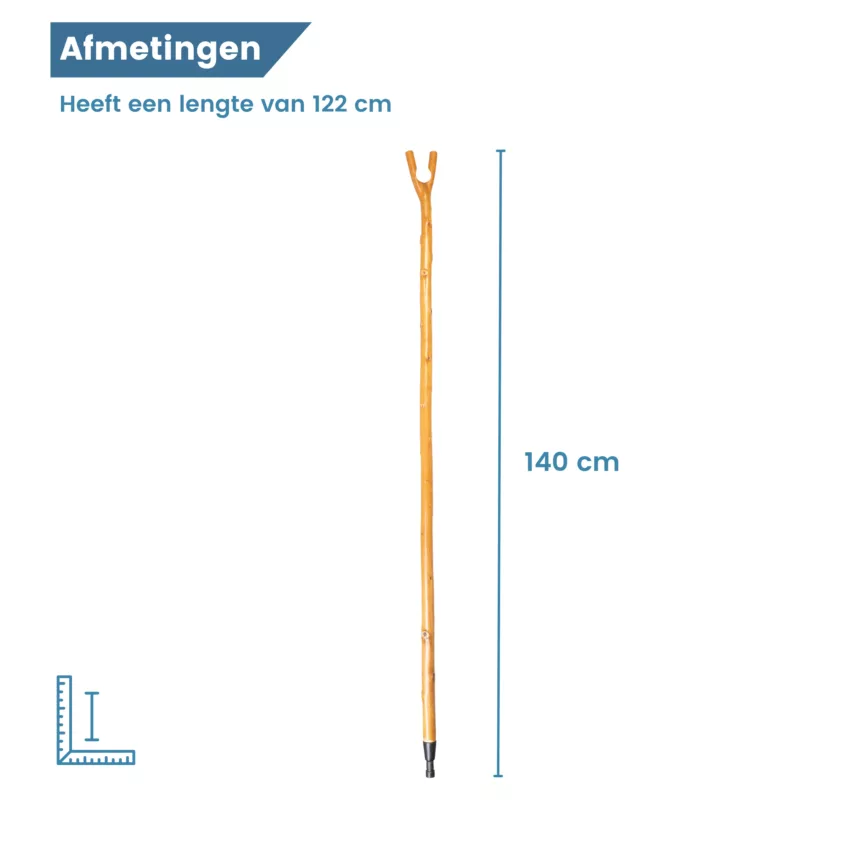 Bâton de chasse en bois de châtaignier avec poignée en forme de pouce – dimensions