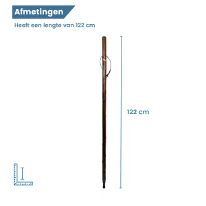 dimensions du bâton de chasse pour labrador