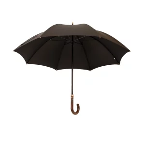 Parapluie ouvert
