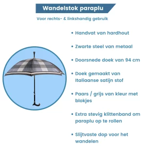 Résumé : parapluie canne