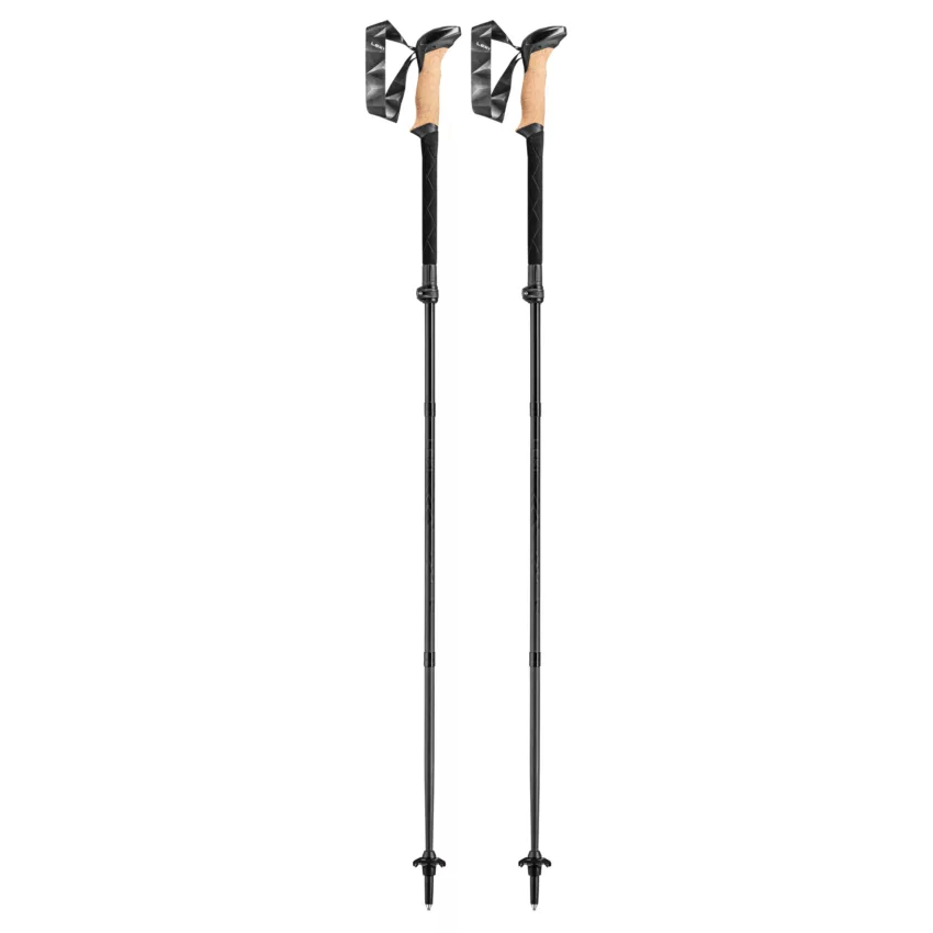 bâtons de randonnée Black Series Carbon pliables