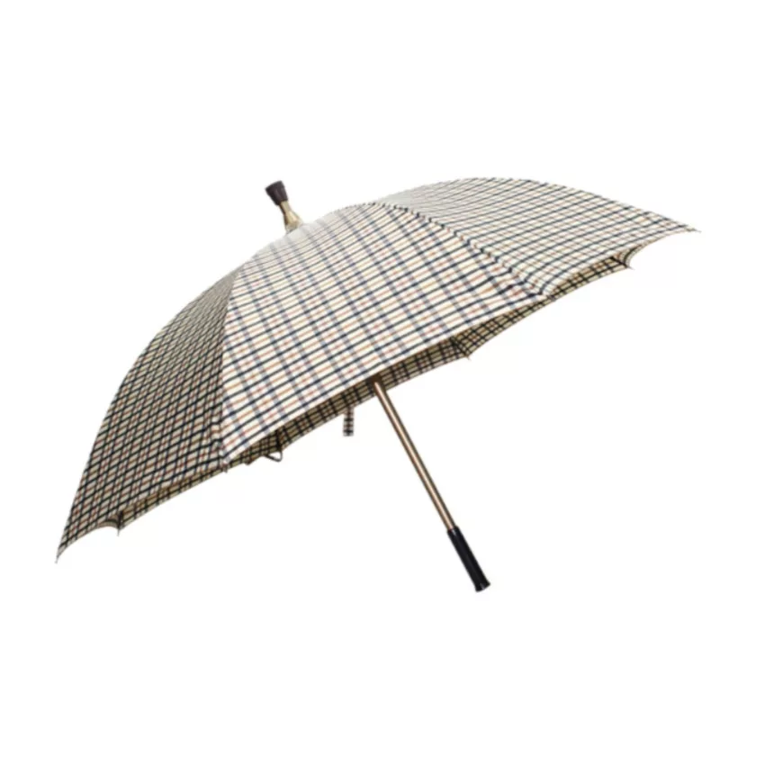 Parapluie