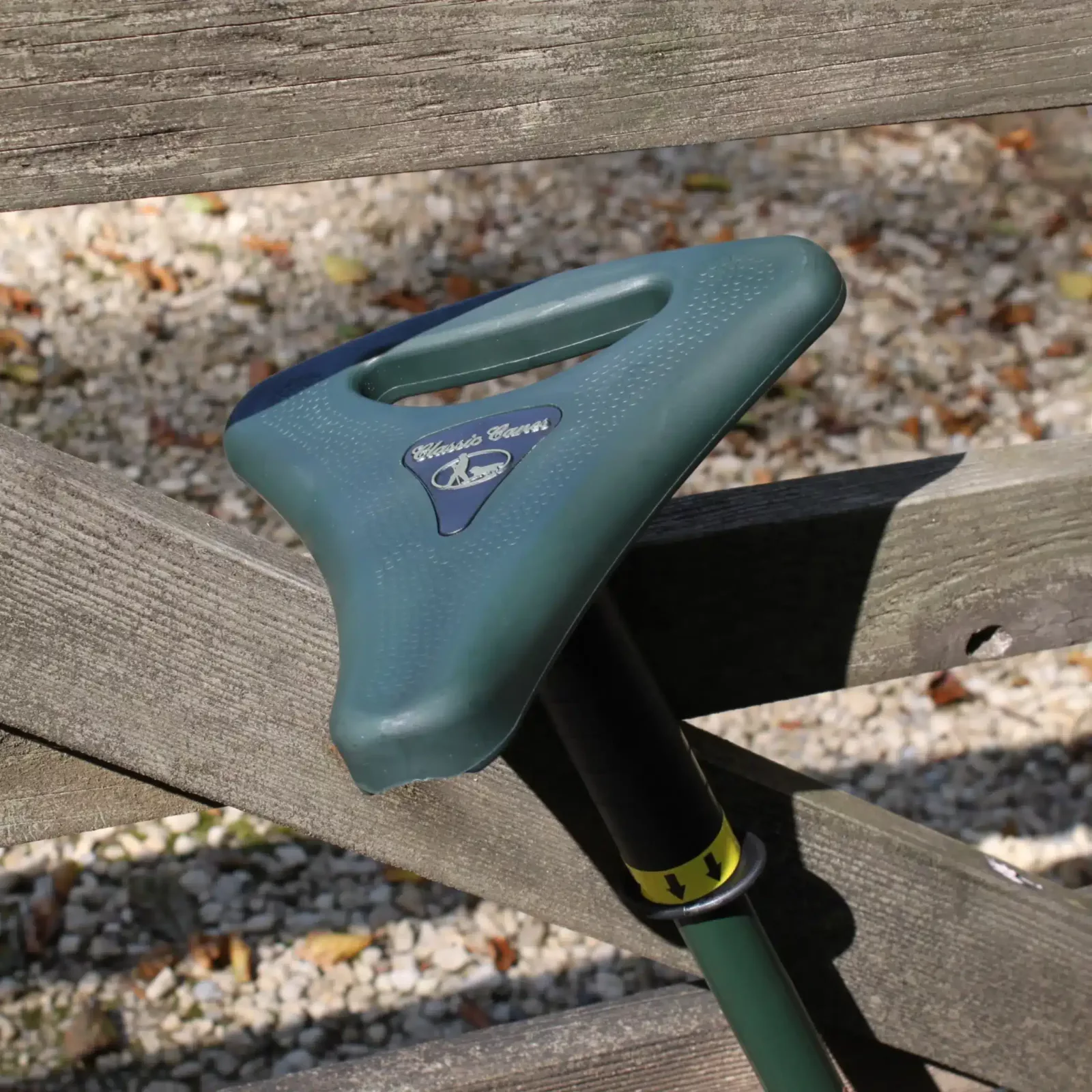 Canne de randonnée verte Walker avec canne-siège