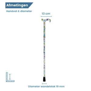 Dimensions de la canne