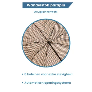 structure interne robuste du parapluie
