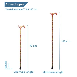 canne à motifs floraux – dimensions